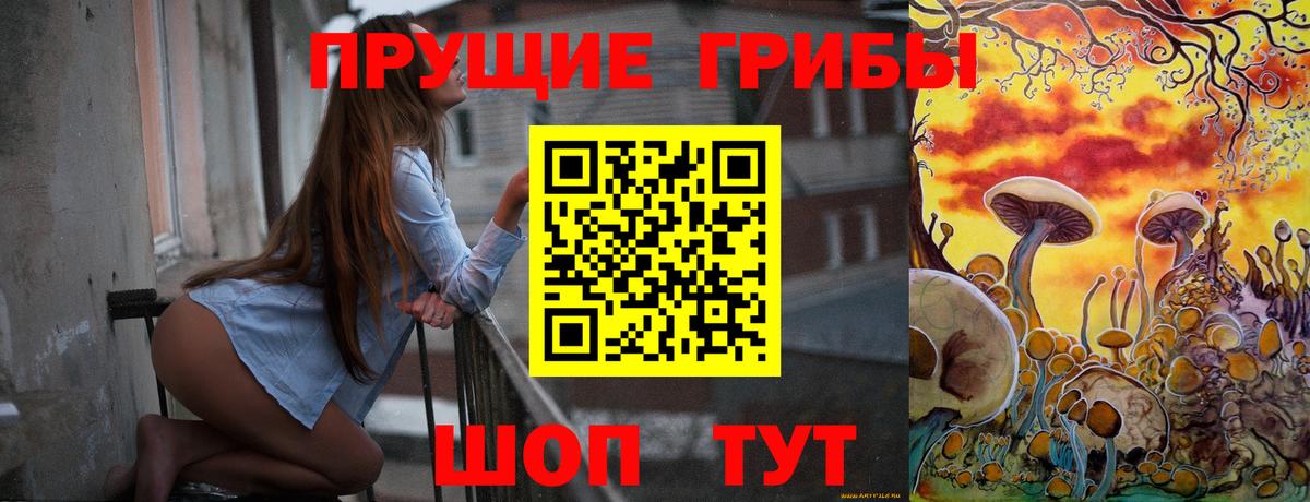 Псилоцибиновые грибы Cubensis Сургут